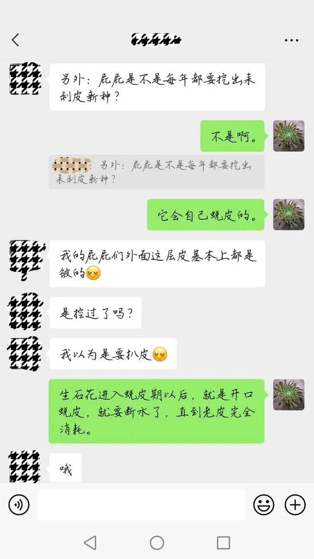 大型制砂机给力富贵机械