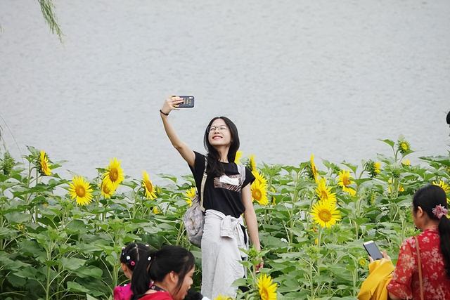 《起风了》