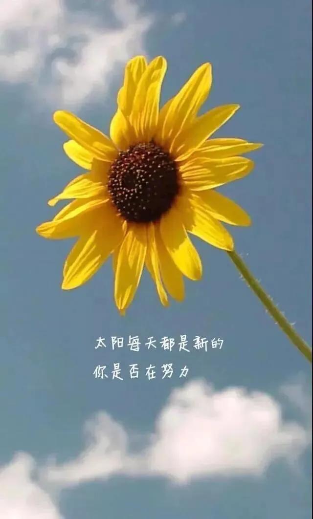 认清现实人际关系 反思吸取血泪教训
