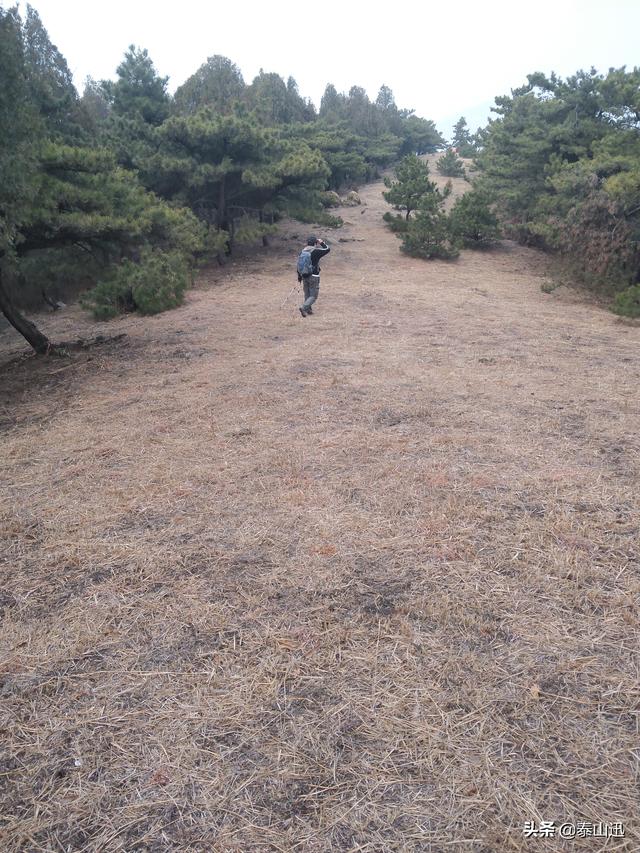 驢行泰山之黃崖山西山梁橫嶺