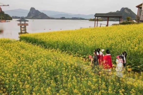 太鹤山10多处著名景点 历史上号称 三十六洞天之一 新闻时间