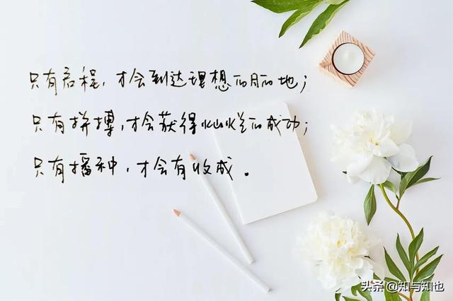 抄书第80天，每日寄语，温暖你我4～愿你依然生如夏花，笑如温阳
