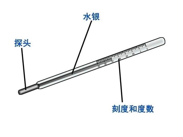 水银温度计怎么看图片