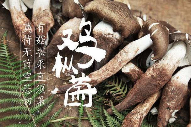 毕节筛砂洗沙一体机价格表