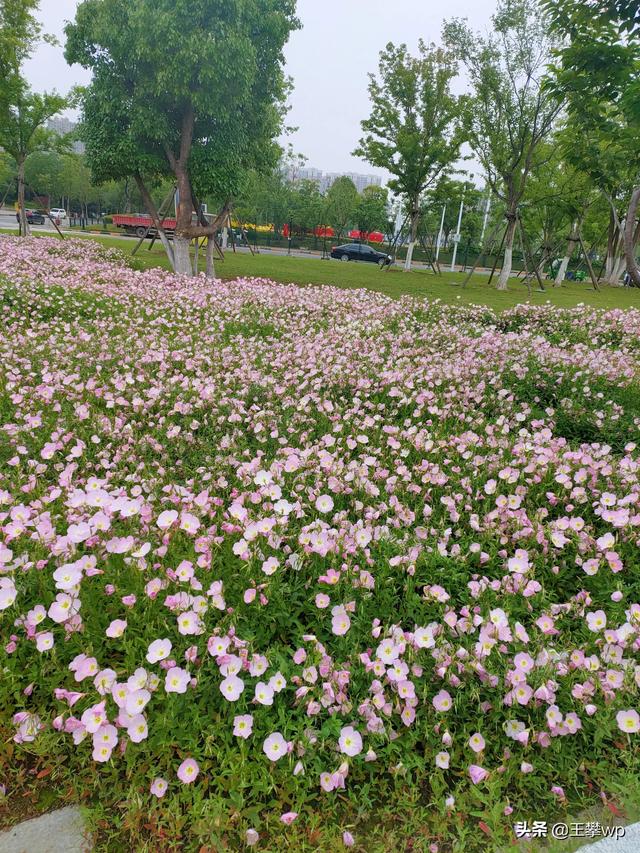 五一劳动节快乐