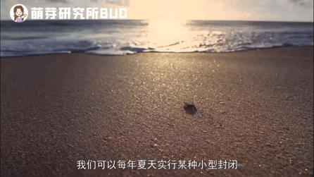 好的纪录片，能带领孩子看到另一个世界（附资源）