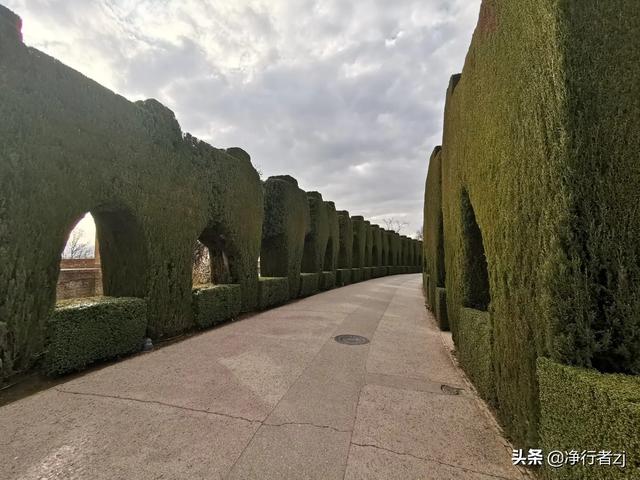 冬日暖陽拔牙記（八）格拉納達：一千零一夜夢幻之城（上）