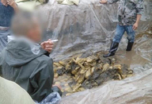 因一包酸菜，导致康师傅、统一流失数亿市值，严钦武到底什么来头