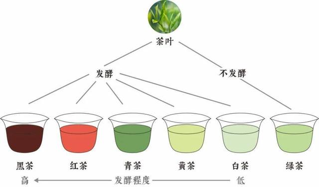 二月二龙抬头还在乱喝茶？早春养生喝什么茶好？老茶客：记住3点