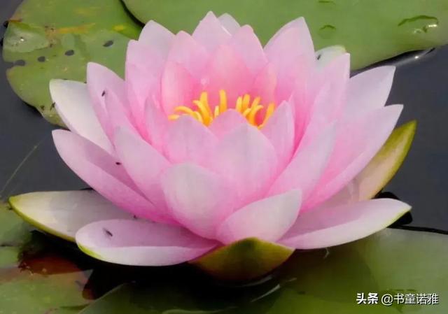 给友友们的一封公开信
