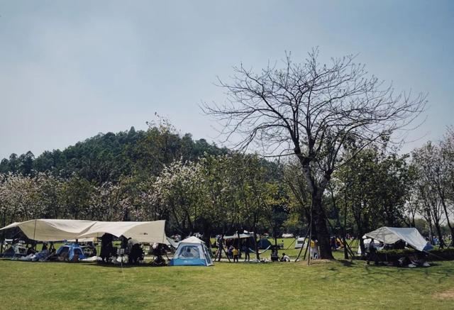 清明假期，你的朋友圈被户外露营刷屏了吗