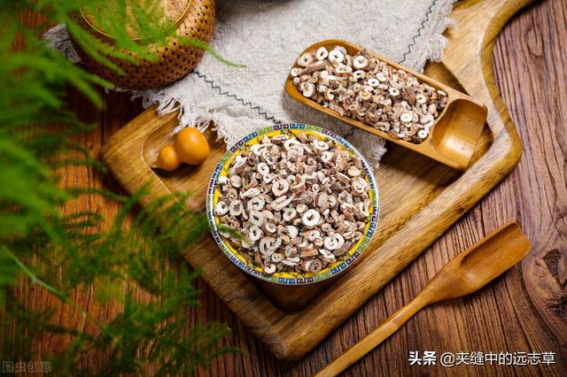 夏之将至，送你一味白花蛇舌草，解热毒、消疮痈、利小便