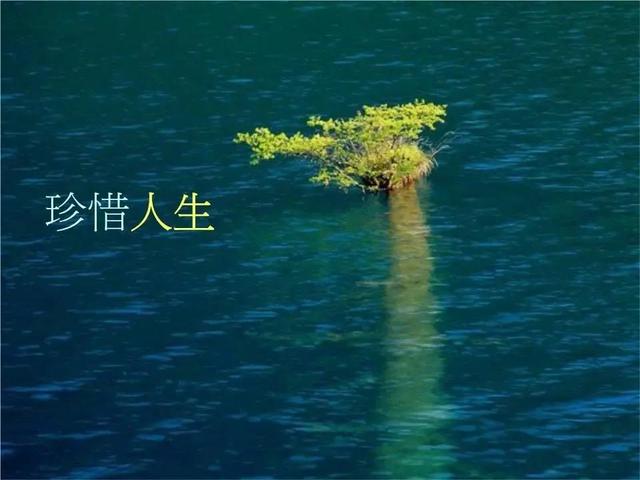 你的心态决定你的人生