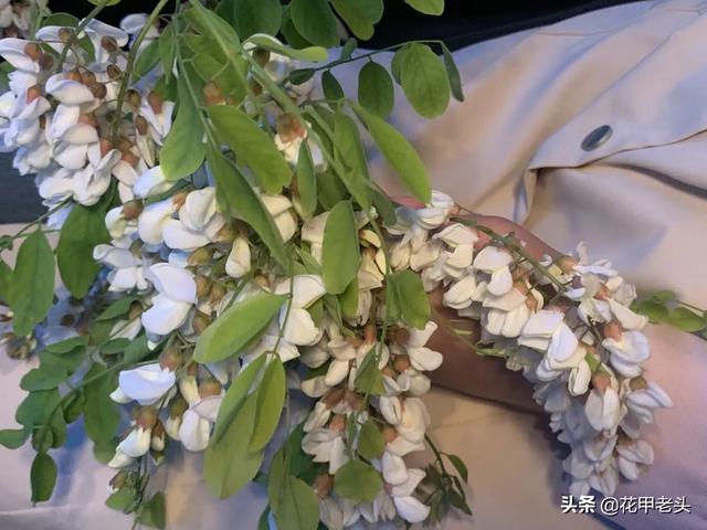 拒绝内耗！不能平天下也能幸福和睦，意料之中的事情来得太快