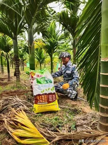 央视上榜！有机类肥料知名品牌！解决土壤、死棵烂苗、重茬问题7