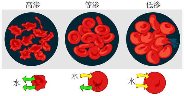 缺钾比缺钠还危险？想要补充钾元素，5种食物别错过