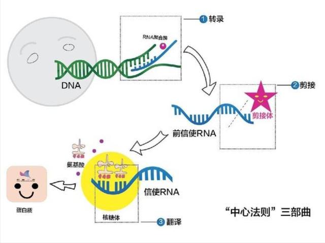 我们都是外星后代？70亿岁陨石发现DNA成分！地球生命或来自太空
