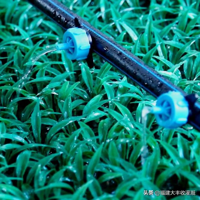 沈阳离心式过滤机