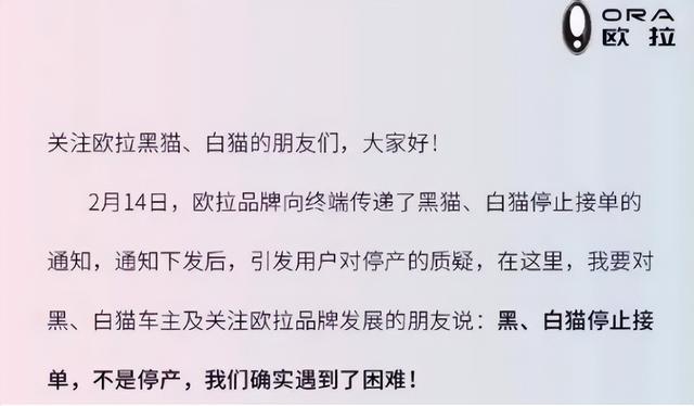 涨价、停售！风光无限的新能源汽车，是虚假的繁荣吗？