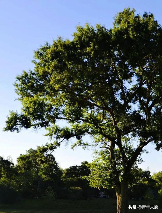 你是我生命中最美好的部分