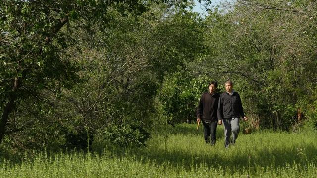 情侣住荒野7年租30亩地自耕自食