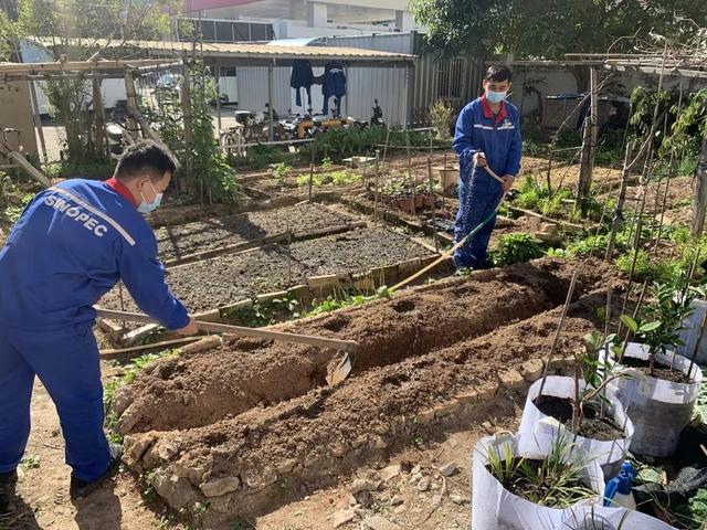 今日春分，带你体验石化版“向往的生活”