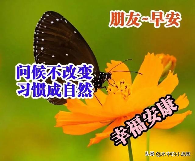 微信朋友圈早安正能量短句分享，句句精辟