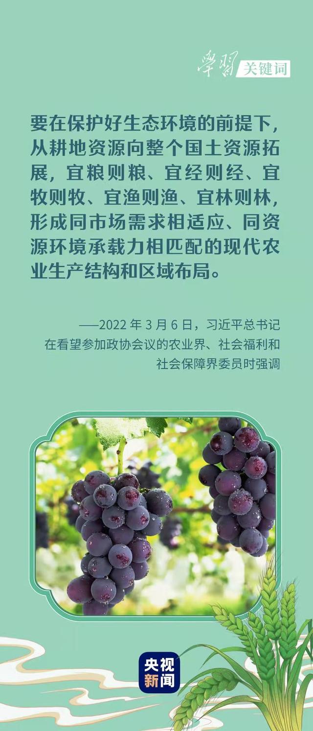 春事看农桑 |“大食物观”托起“舌尖幸福”