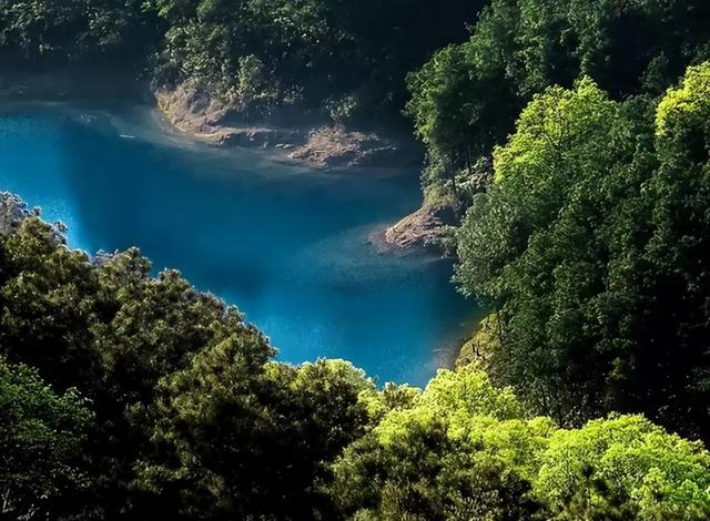 永川野生动物园