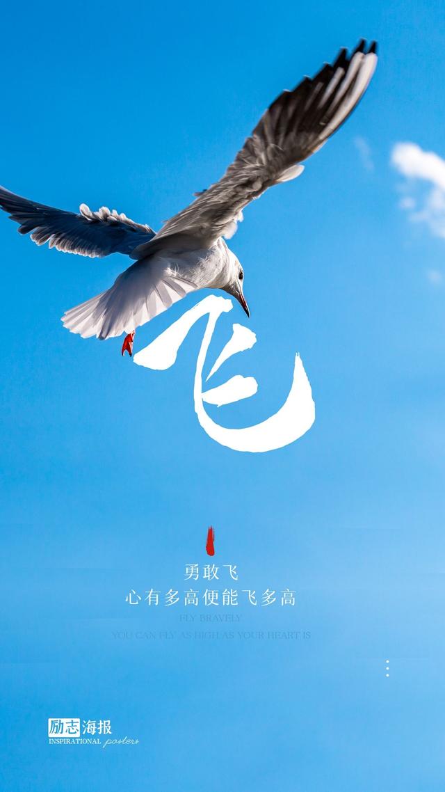 早起发朋友圈的正能量文案图片,勇敢飞,心有多高便能飞多高