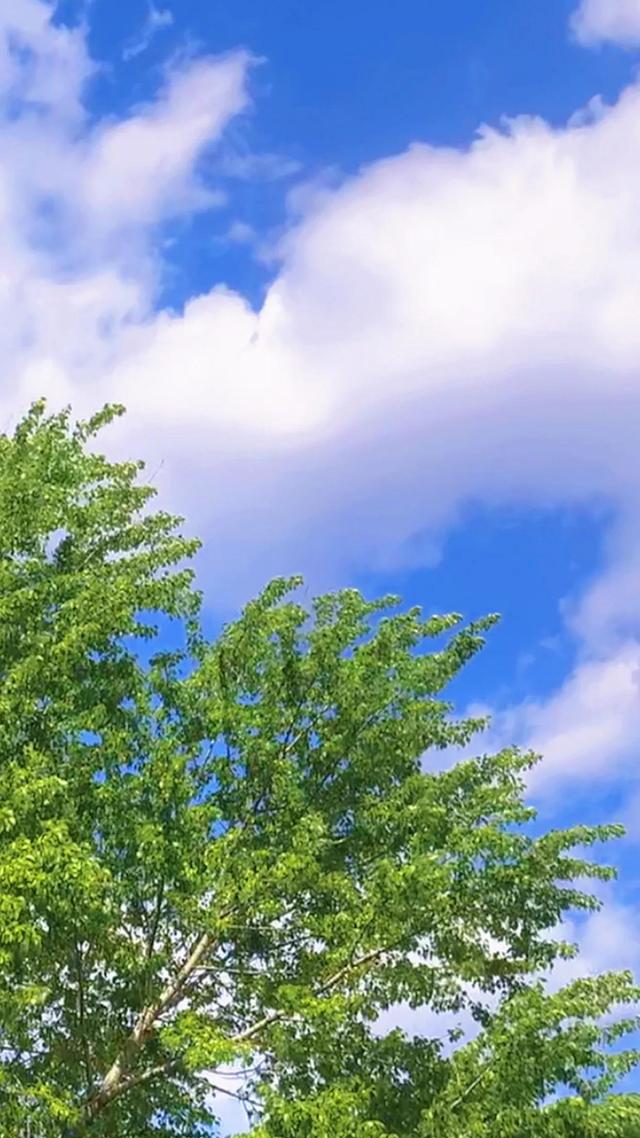 蓝色天空白云飘飘