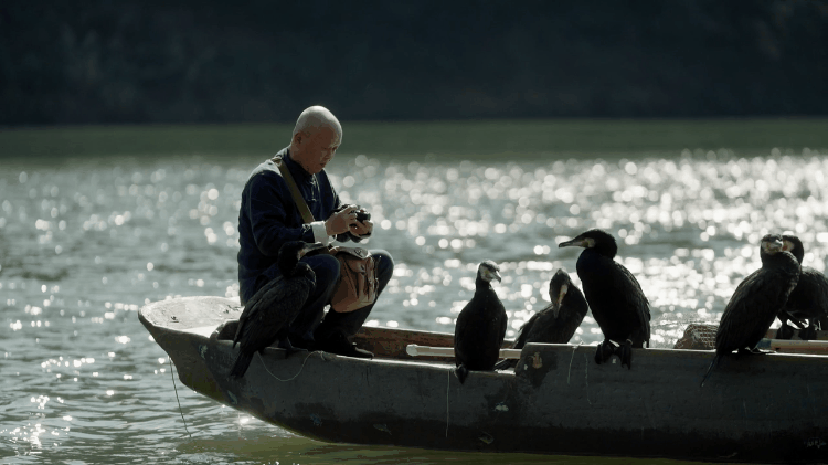 八字中五个鸡是什么意思