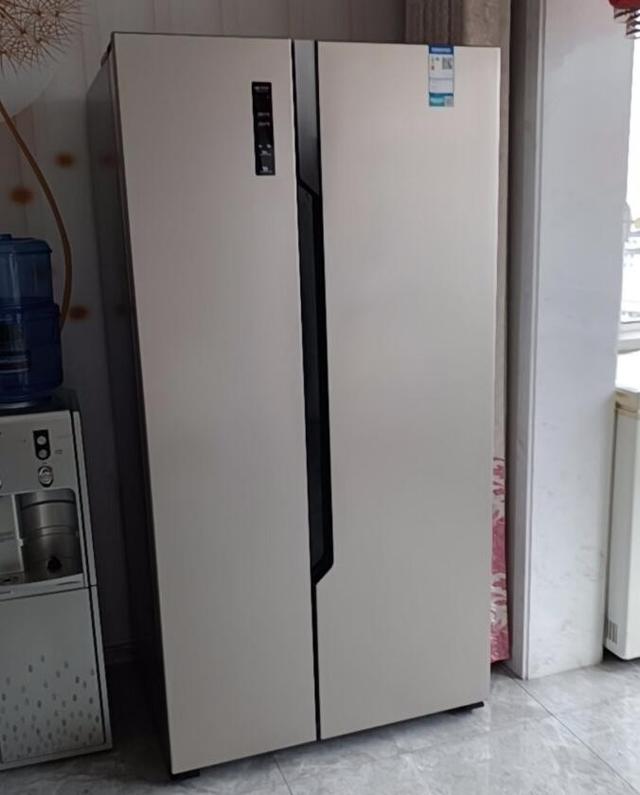 疫情期间大空间冰箱选购攻略，附8款550L以上冰箱推荐