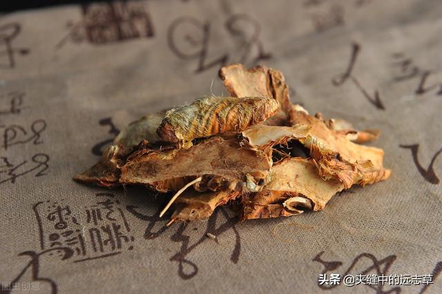 结石？送你三味中药，清热利湿，散结消石，不来了解下吗？