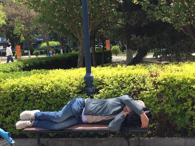 游走黄河边