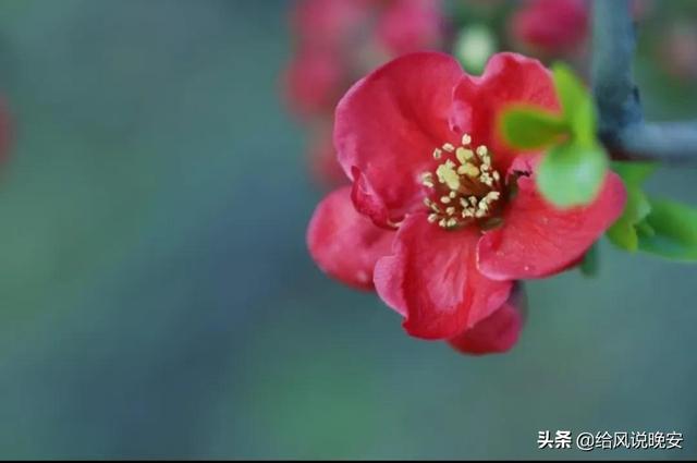 4.27 周三 | 把最容易的事坚持下来，才是最难的事