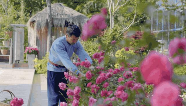 腾讯元老魏震：赚够钱后果断辞职，携妻儿退隐山林，每天种地喝茶