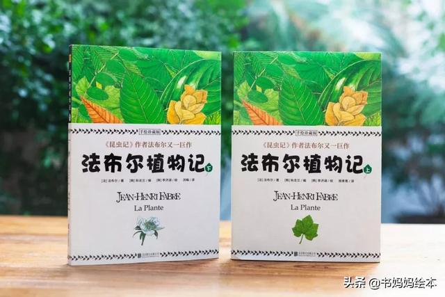 10本植物科普书籍推荐，让孩子在家也能探索大自然的奥秘