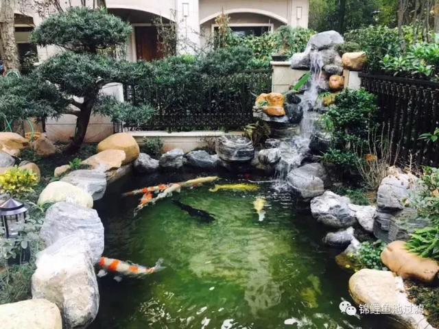 浙江转鼓过滤机过滤布生产厂家