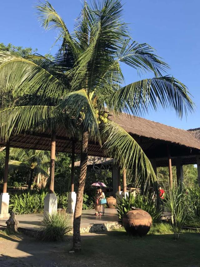一個超級宅女的巴厘島之旅，風景那麽美，回憶那麽美