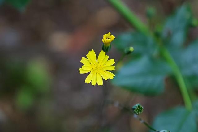 前任回头只有两种情况爱你和玩你如何才能分清，前任玩你的表现