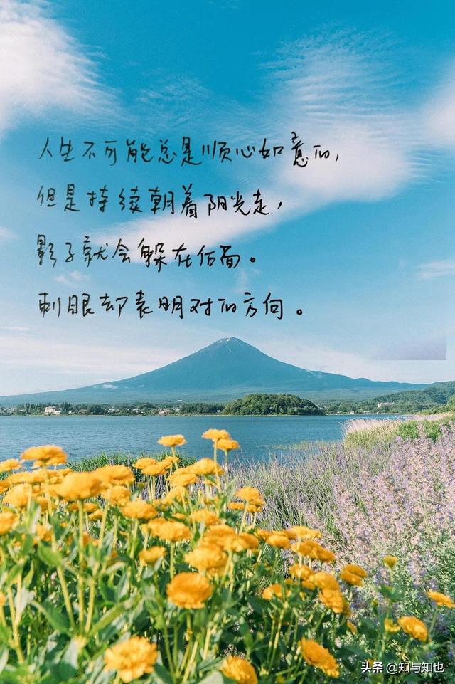 抄书82天，每日寄语6（努力创造自己想要的生活）