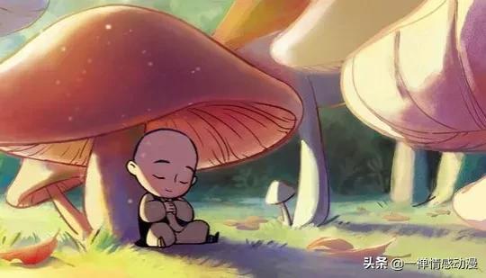 世界里，我们的人生不是给别人看得，失去是常态，得到是偶然，