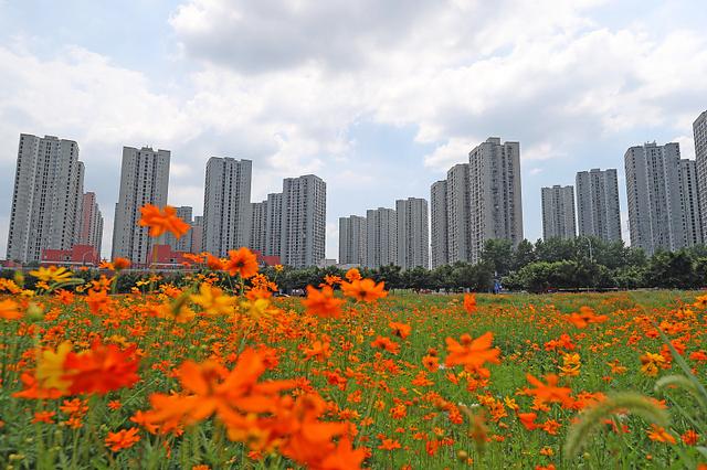 今明两年不买房，五年后更容易买还是更买不起？答案已经清晰明了