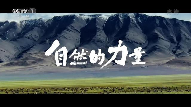 美哉，中华——五部了解中国大好河山的经典纪录片