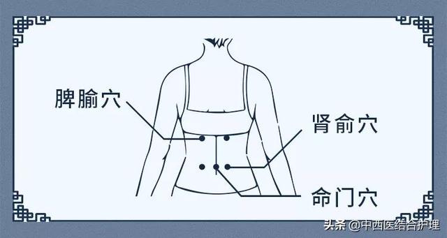 「护肾科普」护肾延衰，重在医和养，功在补虚和堵漏