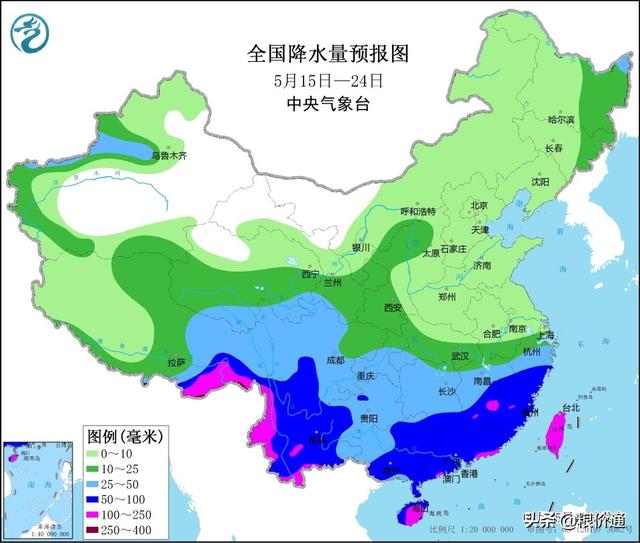企业降价收购，玉米大变天，粮价要重演跳水行情？终于有答案了？