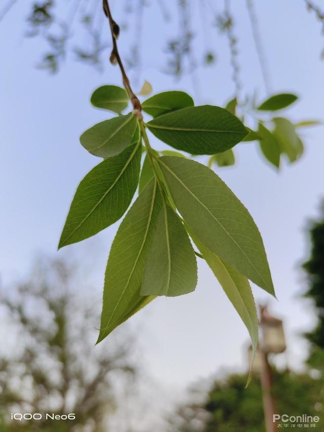 iQOO Neo6评测：高帧与低功耗兼得的骁龙8性能旗舰-第23张图片-9158手机教程网