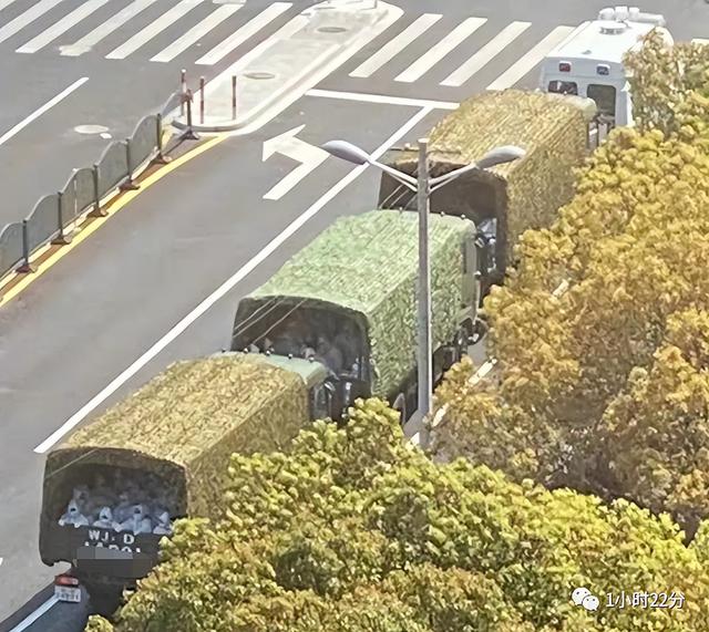 https://blog.sina.com.cn/s/blog_9766a3620102yz19.html