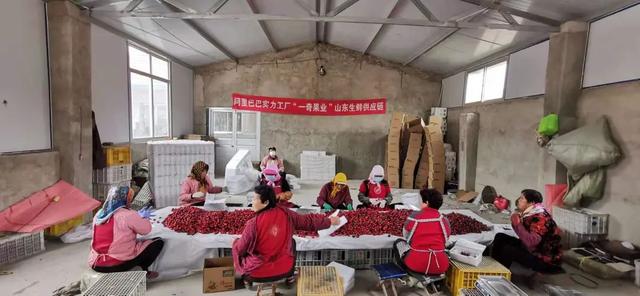 2021年电商做的好的人都有什么特点，中国毛毯厂长逆袭2021:年产3000万，学英语做老外生意